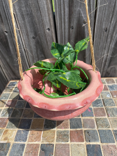 Pink Hanging Planter